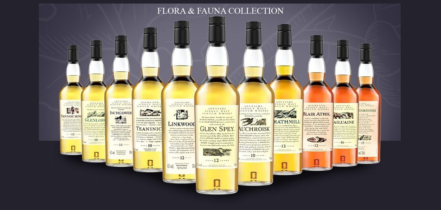 Flora & Fauna Collection